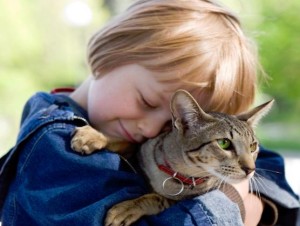 Cat Rehoming Services in New Mexico